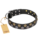 (image for) "Romantic Breeze" FDT Artisan Black Leather American Bulldog Collar with Riveted Circles