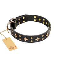(image for) 'A La Mode' FDT Artisan Handcrafted Black Leather American Bulldog Collar
