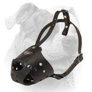 (image for) MaxiPro Leather Muzzle For American Bulldog