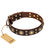 (image for) 'Flower Melody' FDT Artisan Brown Leather American Bulldog Collar with Mixed Studs