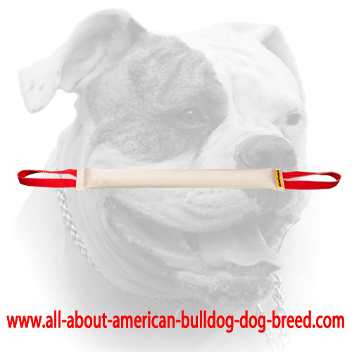 (image for) Fire hose dog bite tug with 2 handles for American Bulldog