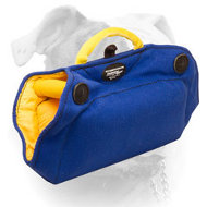 (image for) French Linen American Bulldog training bide builder