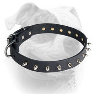 (image for) Elegant leather American Bulldog collar with 1 row of nickel spikes