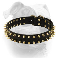 (image for) Luxury spiked leather collar for American Bulldog