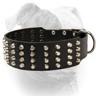 (image for) 2 inch extra wide pyramid studded leather American Bulldog collar