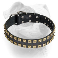 (image for) Exclusive handmade design leather collar for American Bulldog