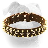 (image for) Black Leather Spiked Studded Dog Collar for American Bulldog