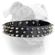 (image for) Awesome stylish spiked leather American Bulldog collar