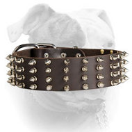 (image for) Stylish elegant 2 inch wide spiked leather American Bulldog collar