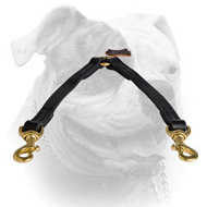 (image for) Double Dog Leash Coupler for two American Bulldogs