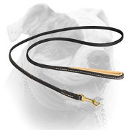 (image for) Genuine quality stitched leather American Bulldog leash