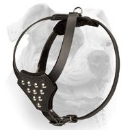 (image for) Soft walking genuine leather American Bulldog harness with studs
