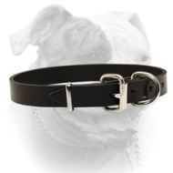 (image for) Traditional Buckled Leather Collar for American Bulldog