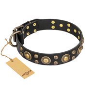 (image for) 'Baroque Chic' FDT Artisan Studded Black Leather American Bulldog Collar