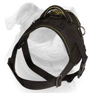 (image for) Nylon multi-purpose American Bulldog harness for tracking/pulling with handle