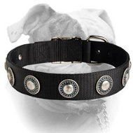 (image for) Luxury decorated nylon American Bulldog collar