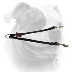 (image for) Nylon 2-Way Coupler Leash for American Bulldogs