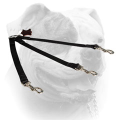 (image for) All weather usage nylon triple coupler for walking three dogs