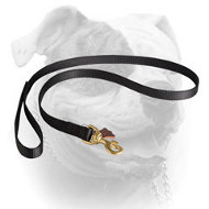 (image for) Deluxe Nylon Lead with Swivel Snap for American Bulldog