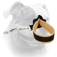 (image for) Nylon dog leash with support material on handle for American Bulldog