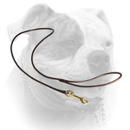 (image for) Leather dog shows round leash for American Bulldog