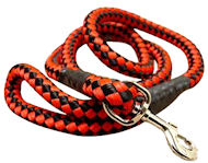 (image for) 5 foot Round Nylon Leash With Brass Snap for American Bulldog