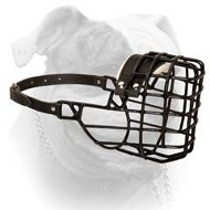 (image for) Universal Training Wire Muzzle for American Bulldog