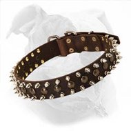 (image for) "Spiky" Leather Collar For Your American Bulldog Decorated With Spikes And Studs