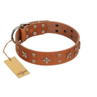 (image for) "Dreamy Gleam" FDT Artisan Tan Leather American Bulldog Collar Adorned with Stars and Squares