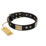 (image for) "Antique Gloss" FDT Artisan Black Leather American Bulldog Collar with Bronze-like Plates and Small Studs