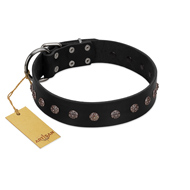 (image for) "Flower Rhapsody" FDT Artisan Premium Quaulity Black Leather American Bulldog Collar