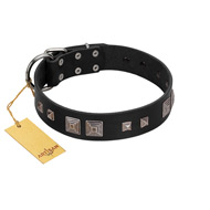 (image for) "Foregone Riches" FDT Artisan Black Leather American Bulldog Collar with Old Silver-like Square Studs and Pyramids