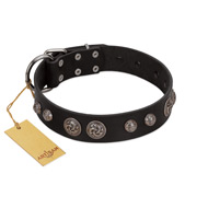 (image for) "Tricky Ricky" FDT Artisan Black Leather American Bulldog Collar Adorned with Silver-Like Conchos