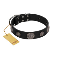 (image for) "Ad Infinitum" Durable FDT Artisan Black Leather American Bulldog Collar with Chrome Plated Brooches