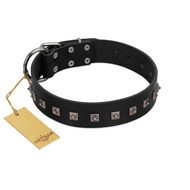 (image for) "Natural Beauty" Premium Quality FDT Artisan Black Designer American Bulldog Collar with Dotted Studs
