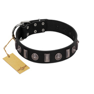(image for) "Silver Spikes" Exclusive FDT Artisan Black Leather American Bulldog Collar