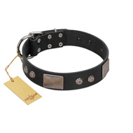 (image for) "Square Stars" Modern FDT Artisan Black Leather American Bulldog Collar with Square Plates and Studs