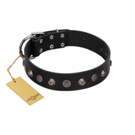 (image for) "Black Knight" Handmade FDT Artisan Black Leather American Bulldog Collar with Silver-Like Studs