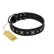 (image for) "Polar Lights" Designer FDT Artisan Black Leather American Bulldog Collar with Silver-Like Studs