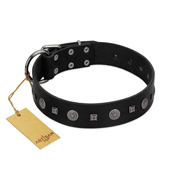 (image for) "Mr. Elegance" Designer FDT Artisan Black Leather American Bulldog Collar with Silver-Like Studs