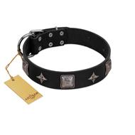 (image for) "Black Cavalier" Handmade FDT Artisan Black Leather American Bulldog Collar with Silver-Like Stars and Large Plates