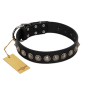 (image for) "Black Eagle" Handcrafted FDT Artisan Black Leather American Bulldog Collar with Silver-Like Adornments