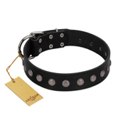 (image for) "Silver Flower" Exclusive FDT Artisan Black Leather American Bulldog Collar with Silver-Like Studs