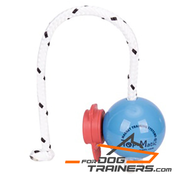 Magnetic dog ball with magnets