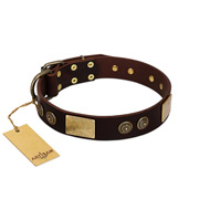(image for) "Bow-Wow Effect" FDT Artisan Brown Leather American Bulldog Collar with Plates and Ornate Studs