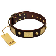 (image for) "Heavy Metal" FDT Artisan Brown Leather American Bulldog Collar with Old Bronze-like Skulls and Plates