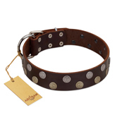 (image for) "Shadow Warrior" FDT Artisan Mystic Brown Leather American Bulldog Collar with Runes