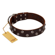 (image for) "Blossom Jewel" FDT Artisan Brown Leather American Bulldog Collar with Two Rows of Silver-like Studs with Engraved Flowers