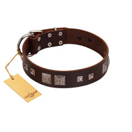 (image for) "Object of Virtu" FDT Artisan Brown Leather American Bulldog Collar with Old Silver-like Square Studs and Pyramids