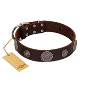 (image for) "Flashy Woof" FDT Artisan Brown Leather American Bulldog Collar with Chrome Plated Brooches